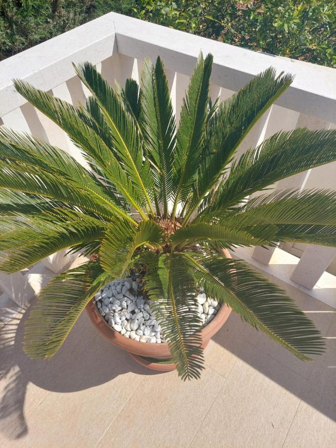 Apartments Zulim Trogir Zewnętrze zdjęcie